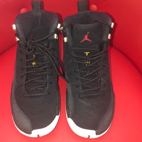 Jordan Other - Air Jordan 12 Retro